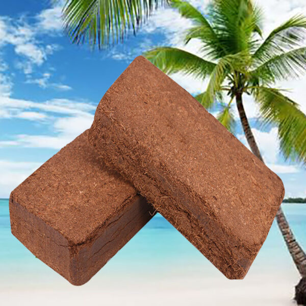 Coconut Brick Nutrient Soil - Image 3