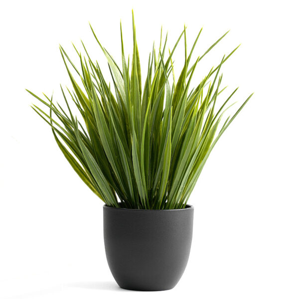 Small Spring Grass Potted Green Plant - Image 4