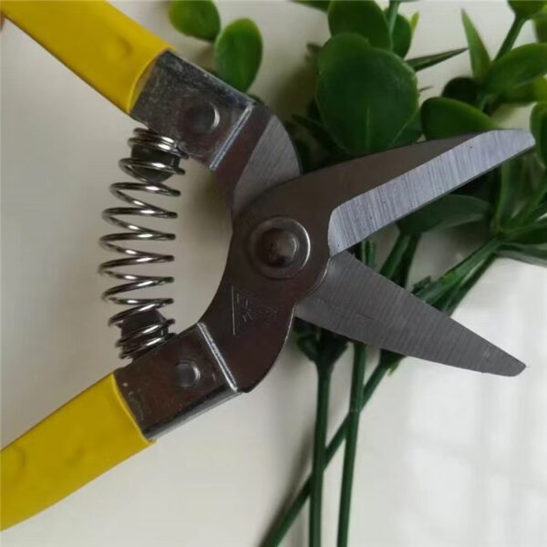 Stainless Steel Fruit Picking Shears - Image 2