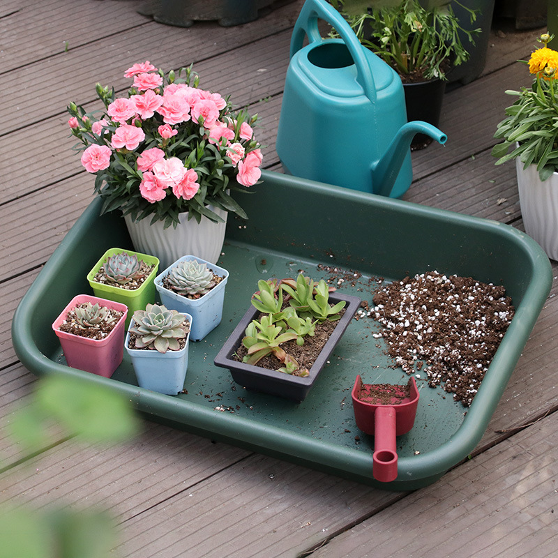 Multifunctional Seedling Storage