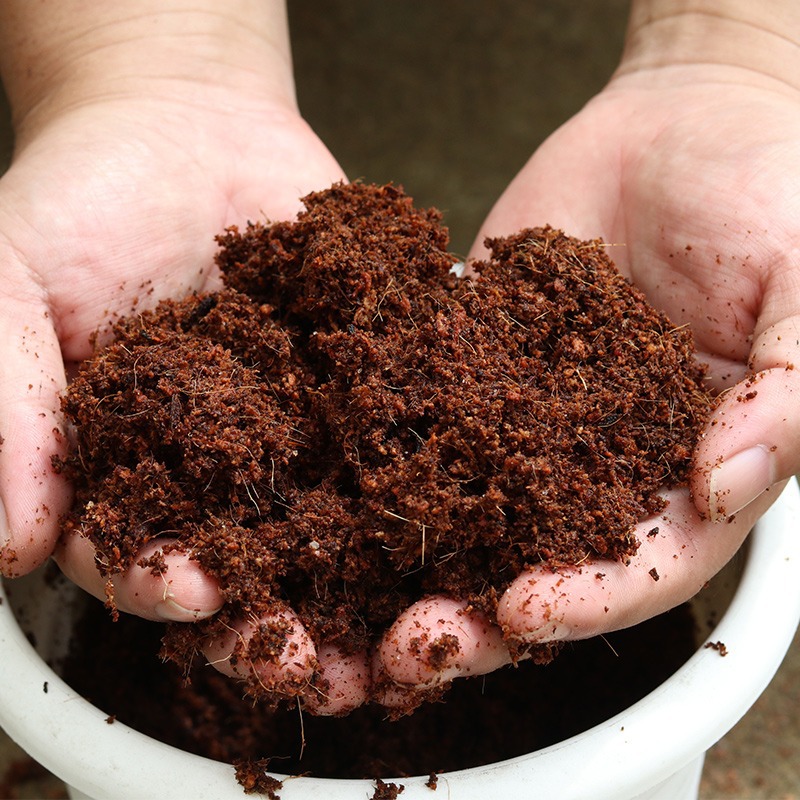 Coconut Brick Nutrient Soil