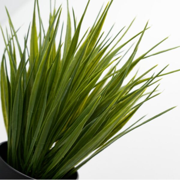 Small Spring Grass Potted Green Plant - Image 2