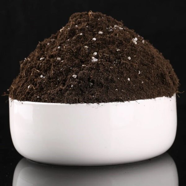 Organic Flower & Vegetable Soil - Peat, Coconut Brick & Fertilizer - Image 3