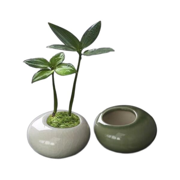 Mini Round Ice Crack Glaze Ceramic Flower Pot - Image 2