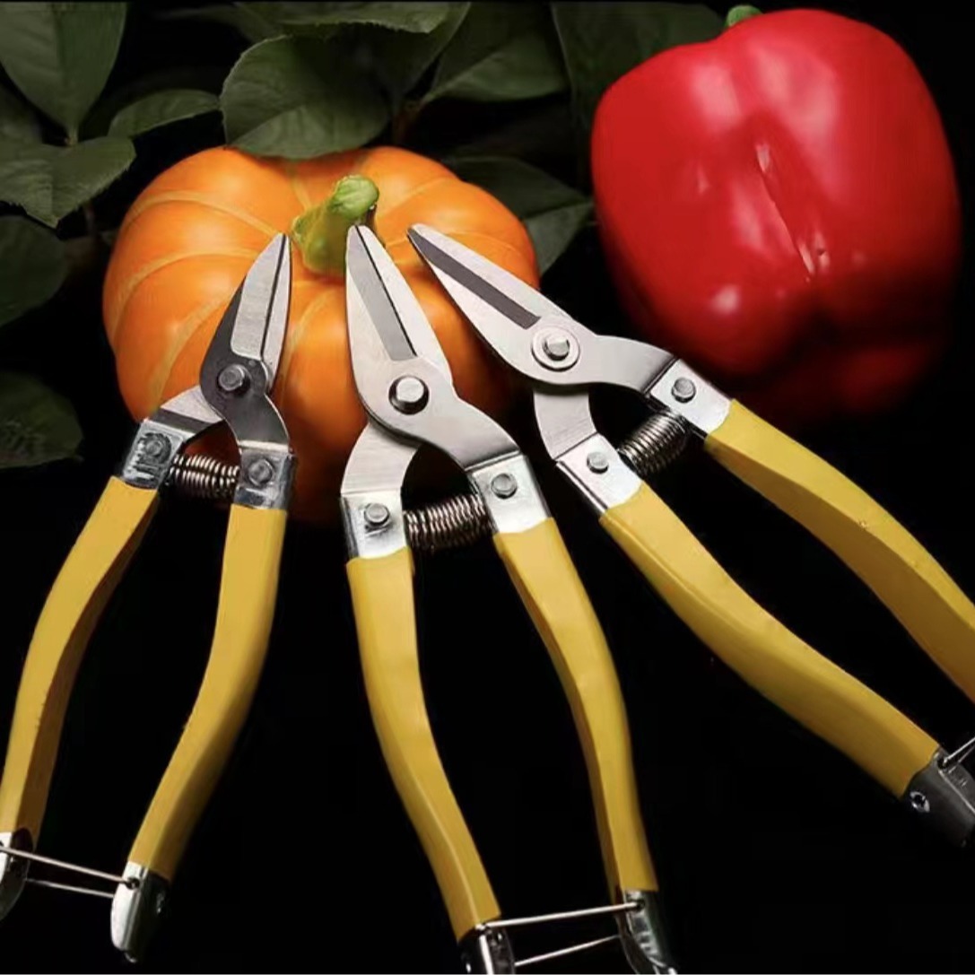 Stainless Steel Fruit Picking Shears