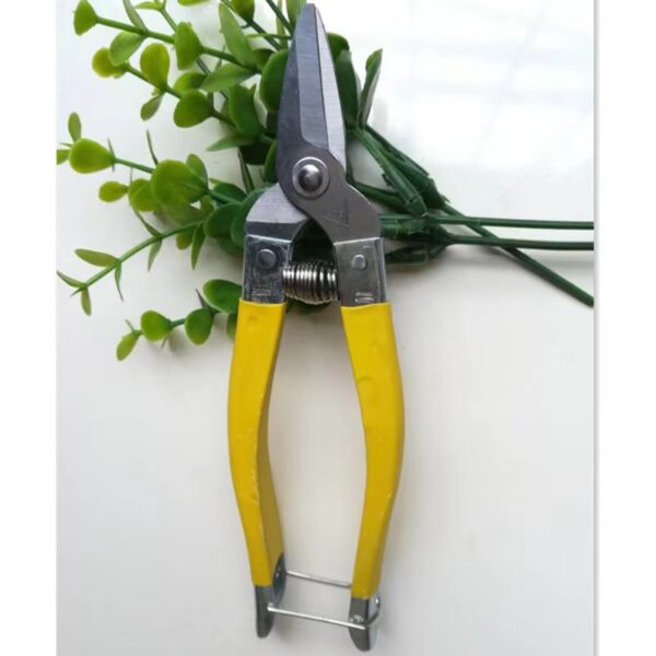 Stainless Steel Fruit Picking Shears - Image 4